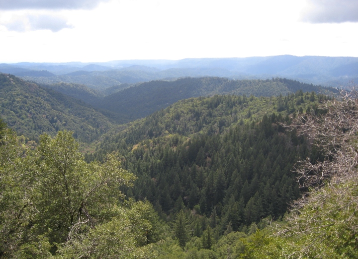 Santa Cruz Mountains